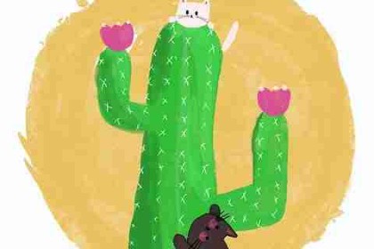 短剧制作经验 - 国产探花领域流量密码曝光，全国探花视频在哪看