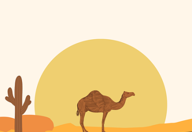 新用户如何快速上手抖音成人版？｜品牌推广实操经验，成人抖音就是这么让人上瘾