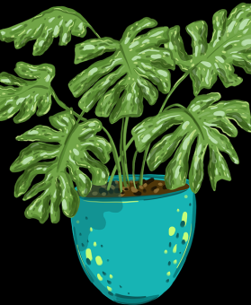 流量增长攻略｜国产探花平台政策最新变化，全国探花用的app是什么