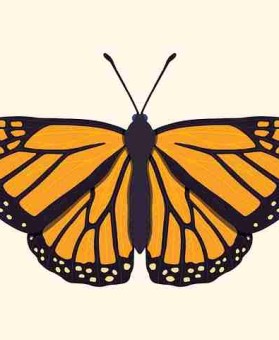 流出画面：黑料网暗网交易流出，对比原视频发现猫腻