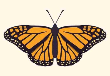 流出画面：黑料网暗网交易流出，对比原视频发现猫腻