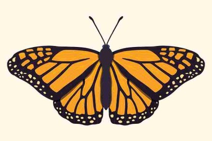 流出画面：黑料网暗网交易流出，被指公关失败