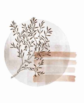 精彩回顾｜赛事焦点：每日大赛最受期待项目，日常赛事