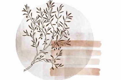 精彩回顾｜赛事焦点：每日大赛最受期待项目，日常赛事