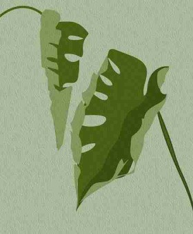 账号维护手册 - 抖音成人版直播打赏收益提升策略，成人打赏主播的钱会退吗