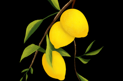 抖音成人版直播打赏收益提升策略｜内容创新指南，成人打赏主播的钱会退吗