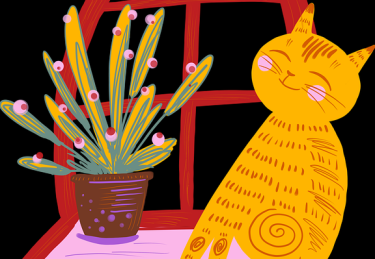 欧美一区二区三区爆款影片观影指南-无广告播放体验