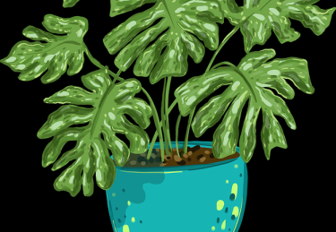 快手成人版平台生态发展趋势-新手必读