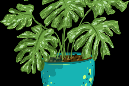 快手成人版平台生态发展趋势-新手必读