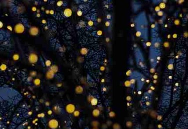 欧美一区二区三区高清视频播放攻略｜使用技巧