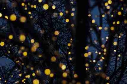 欧美一区二区三区高清视频播放攻略｜使用技巧