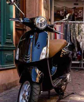 高能回顾：蘑菇视频热门女星现身，平台回应模糊