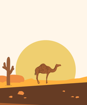 连续更新：蘑菇视频偶像私密流出，官方紧急处理