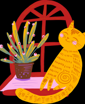 快手成人版新手账号冷启动攻略 - 深度剖析，快手成人版用不了了