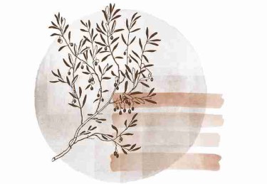 背后故事：91网深水区，后台操作曝光，91网站谁厉害