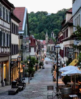 高能回顾：蘑菇视频内容审核风波，评论区沦陷