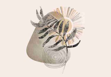 热榜第一：蘑菇视频评论区翻车，下载量暴涨