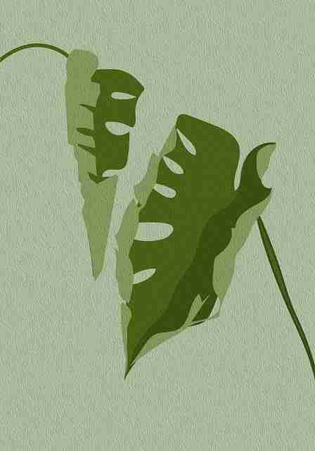 账号维护手册 - 抖音成人版直播打赏收益提升策略,成人打赏主播的钱会退吗