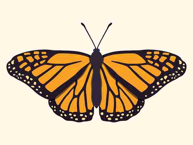 流出画面:黑料网暗网交易流出,对比原视频发现猫腻